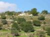 Photo of Farm/Ranch For sale in ragusa, sicily, Italy